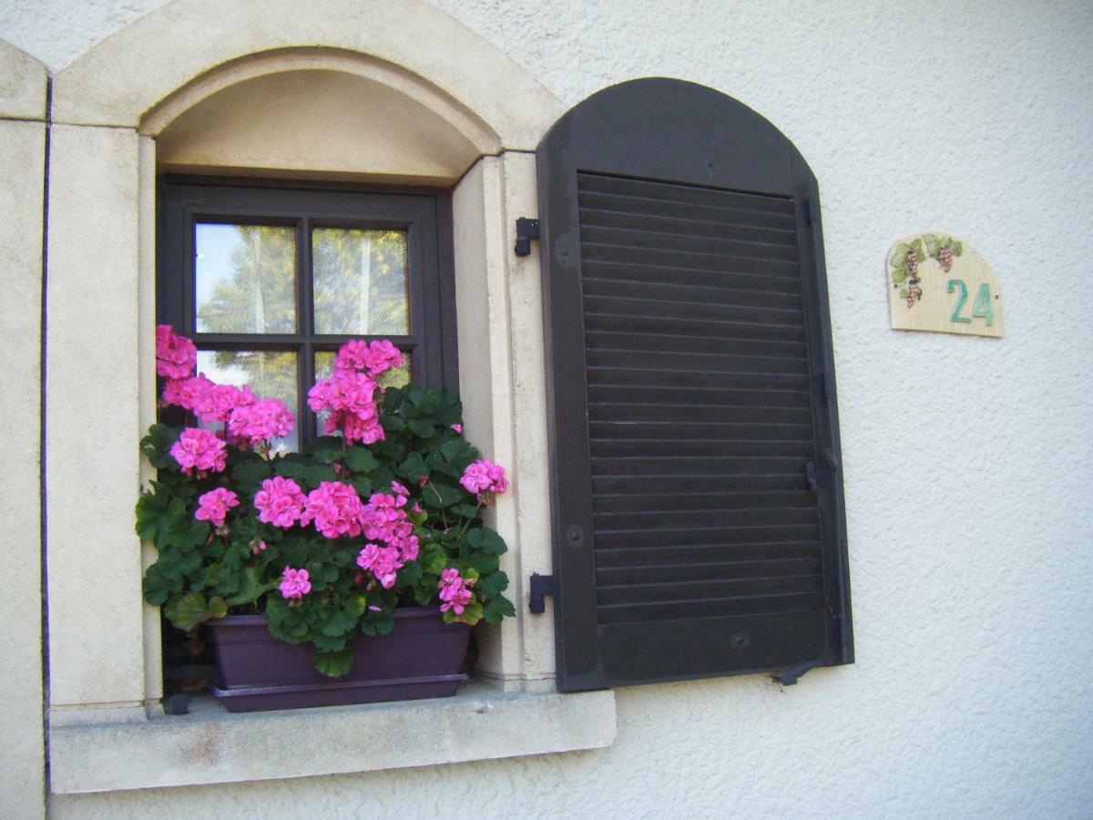 Les Lutins Bed & Breakfast Sainte-Ruffine Bagian luar foto